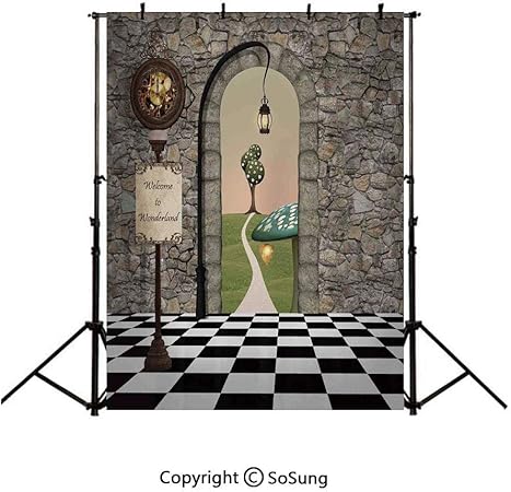 Amazon 3x5フィート ビニール製 不思議の国のアリス 写真撮影用 アリスのユーモア ワンダーランド アニメ 壁装飾 背景 新生児 写真撮影 ポートレート スタジオ 小道具 誕生日パーティー バナー バックペーパー 背景布 通販