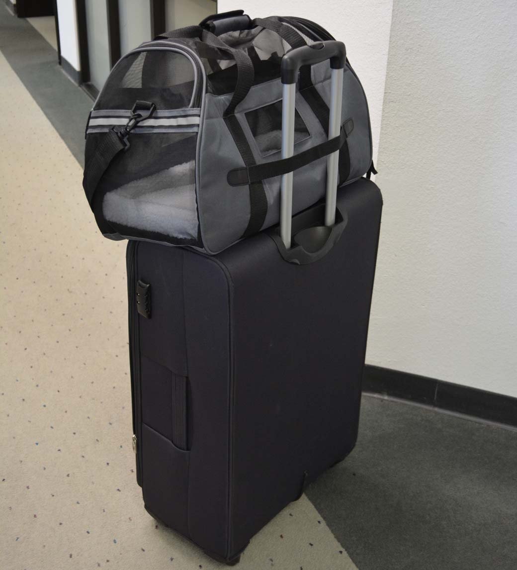 KritterWorld Soft Sided Pet Travel Carrier for Small Dogs and Cats Puppy Small Animals Airline Approved | Removable Sherpa Lining Bed, Built-in Collar Buckle, Lost & Found Tag Included by Blue