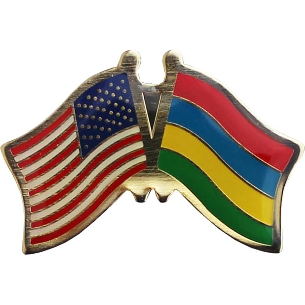 USA and Ukraine Crossed Friendship Flag Enamel Lapel Pin