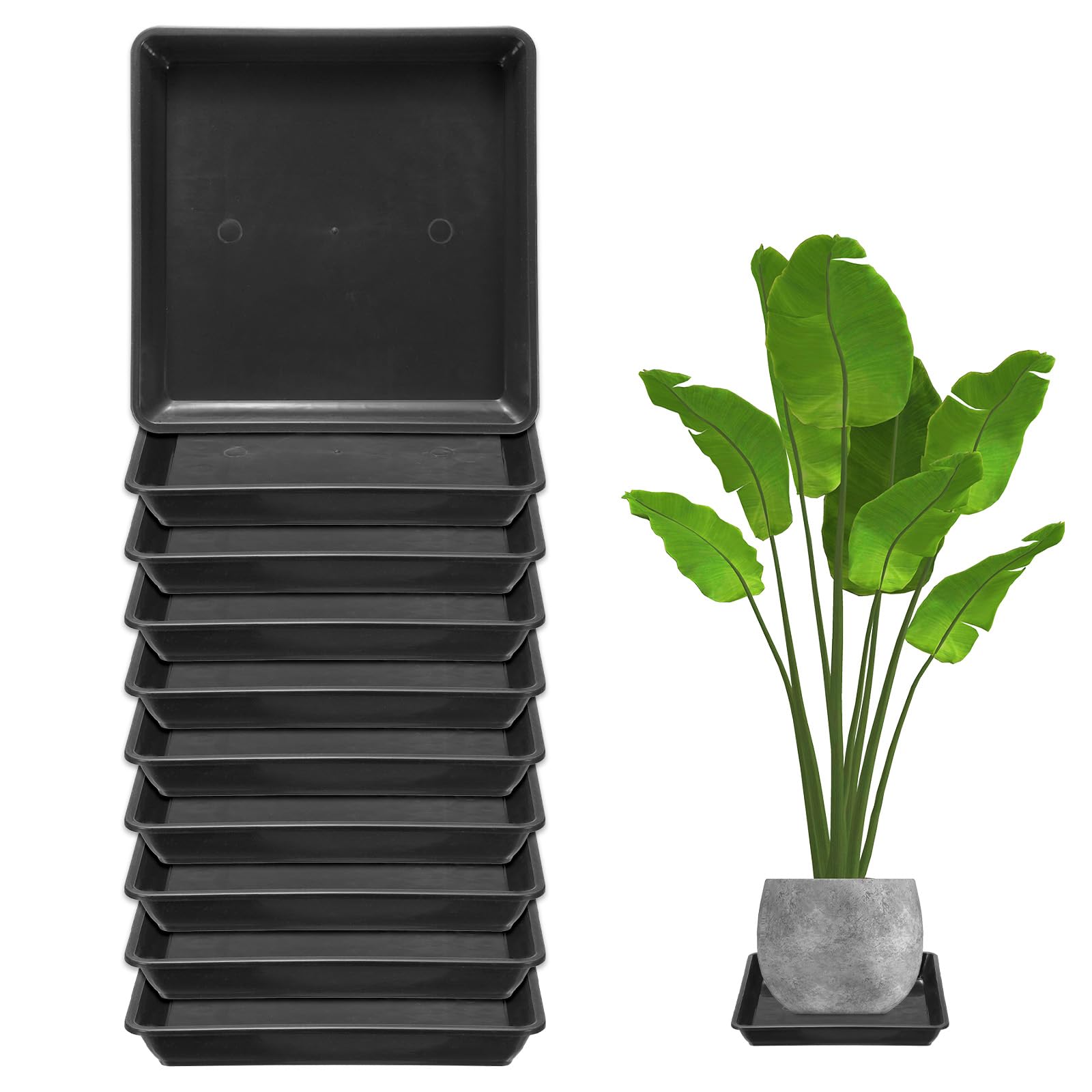 M METERXITY 10-Pack Plant Pot Saucers, 7 Inch 18cm Plastic Square Flower Drip Tray, Pot No Holes Durable Plant Trays for Pots Base Indoors/Outdoors Plants [Black]