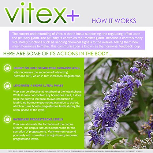 3 VH+Nutrition+Chasteberry+Supplement+Formula