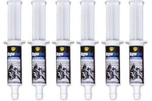 MagnaGard Pre-Performance Calming Paste for Horses - All Natural Gastric Support by Eagle Equine (6 Pack)