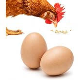 SunGrow Fake Wooden Eggs to Train Birds from Laying in The Nesting Boxes &amp; to Stop from Eating Own Eggs, Brown Color, 2 Pack Suitable for Chicken and Duck