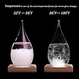 Coocnh Storm Glass Weather Predictor Barometer Crystal Bottle Decorative view 3