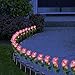 LED Concepts SLR-RSPI Solar Powered Garden Outdoor Decorative Landscape Lights Year, Pink Rose
