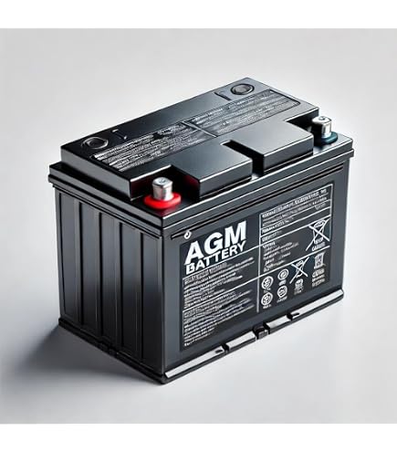 Amazon.com: Wps b49-6 battery w/acid pack b49-6 (B49-6) : Automotive