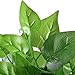 Gtidea 2pcs Artificial Epipremnum Aureus Leaves Silk Grass Fake Plants Bridal Home Garden Office Floor Restaurant Wedding Decoration Green