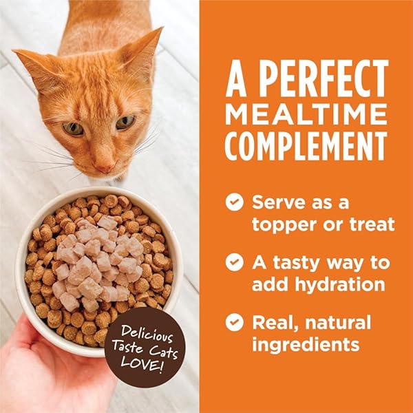 INSTINCT HEALTHY CRAVINGS GRAIN FREE REAL TUNA RECIPE NATURAL WET CAT FOOD TOPPER BY NATURE’S VARIETY, 3 OZ. POUCHES (CASE OF 24)