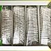 Stassen Pure Jasmine Green Tea, 100 Tea Bags