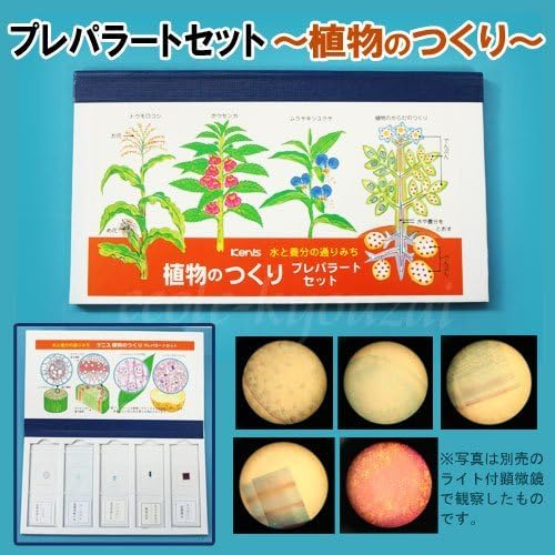 Amazon 観察用プレパラートセット 植物のつくり 学用品 文房具 オフィス用品