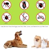 HouChanges 3Pcs Tick Remover Tool Painlessly Remove Ticks Dogs Cats Humans view 5