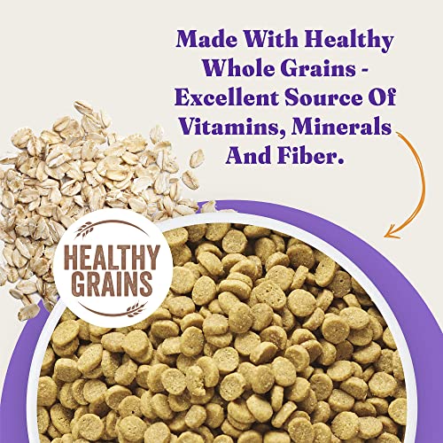 Halo Holistic Cat Food Dry, Wildcaught Salmon and Whitefish Recipe