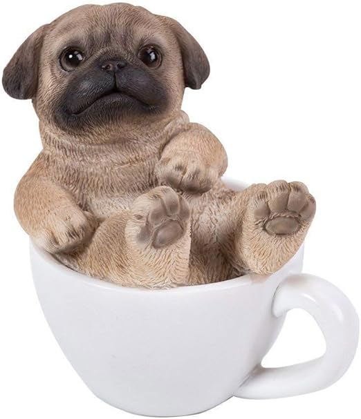 mini teacup puppies