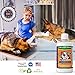 My Pet Nose Hip & Joint Liquid Supplement Includes Glucosamine Chondroitin, MSM and Hyaluronic Acid for Dogs, 32 oz