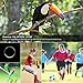 Telephoto Lens for iPhone 7/7 Plus/ 6/ 6S/ 6S Plus/ 5/ 5S/ 5C/ SE, Evershop iPhone Zoom Lens with Tripod + Phone Holder + Phone Case (telephoto Silver)