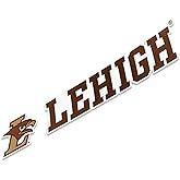 Desert Cactus Lehigh University Mountain Hawks Name Logo Vinyl Decal Laptop Water Bottle Car Scrapbook (8 Inch Sticker)