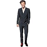 HARRY STYLES LIFESIZE CARDBOARD STANDUP STANDEE CUTOUT POSTER FIGURE