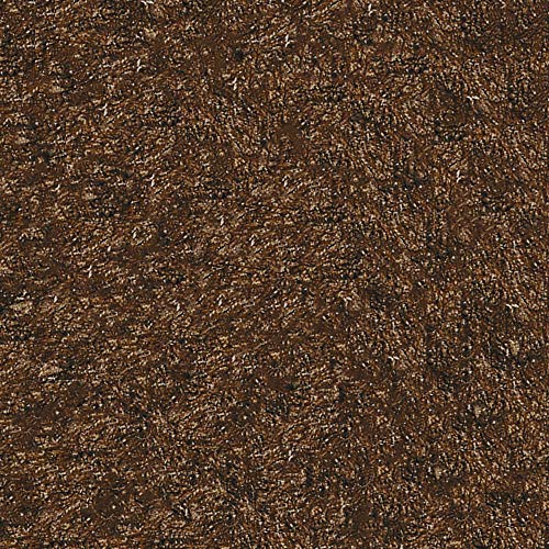 RustOleum 247162 RockSolid SemiTransparent Concrete Stain Spray, 15