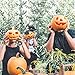 Pumpkin Caring Kit, OTBBA 5 Piece Halloween Pumpkin Carving Tool Set With 10 Carving Stencils DIY Halloween Jack-O-Lantern For Pumpkin Party Decorations