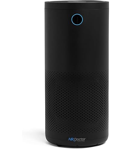 Amazon.com: Wellis Air Purifier for Home Bedroom Living Room