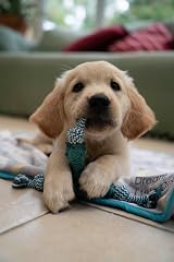 Petface Little Tripod Puppy Chew Toy Blue - Durable Teething Training Aid view 7