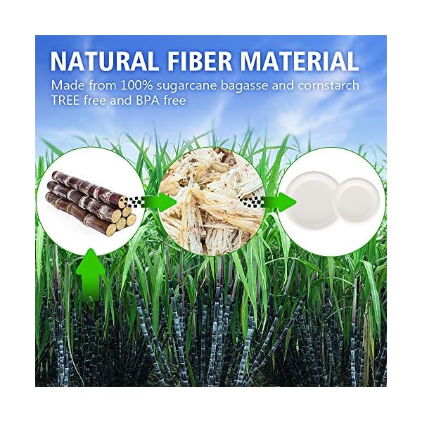 Aitsite-250Pcs-9-Paper-Plates-Party-Tableware-Eco-Friendly-Dinnerware-Set-Includes-50-Plates-Forks-Knives-and-Spoons-Combo-for-Party-Camping-Picnic Aitsite 250Pcs Plates and Cutlery Set, Biodegradable Tableware Set for 50 Guests Includes 9''+7'' Paper Plates, Forks…