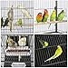 Yaheetech 52-inch Wrought Iron Standing Large Flight Bird Cage for African Grey Quaker Amazon Parrots Cockatiels Sun Parakeets Green Cheek Conures Pigeons Small Parrot Bird Cage with Standthumb 1