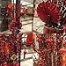 Supla 82 Pcs Chinese New Year Decorations Chinese Hanging Good Luck Ornaments Red Lanterns Festive Tree Ornaments Paper Fans for Asian Chinese Lunar New Year 2025 Year of The Snake Party Decor