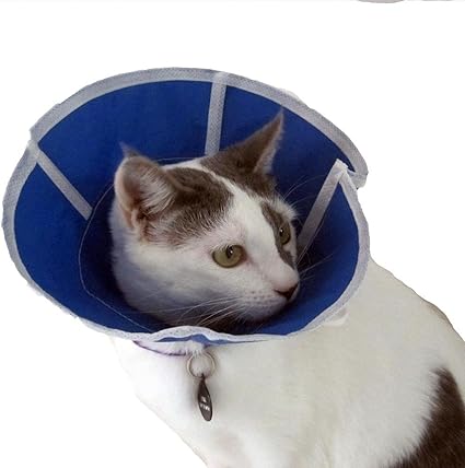 Trimline veterinary recovery collar Outlet