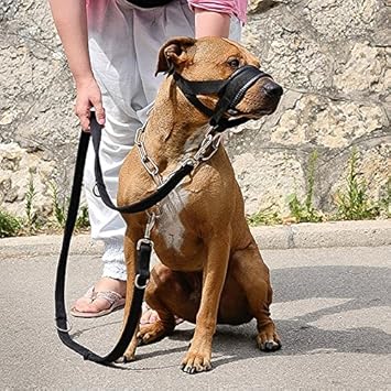 STXMALL Hunde Maulkorb Hundefreundlich Maulkorb Leicht Fit für Hunde Verstellbare Hund Maulkorb Maulkörbe Anti-Biss Barking K