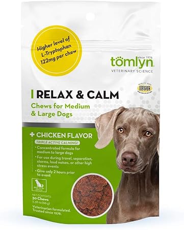 reptile terrarium furniture