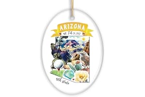 ORNAMENTALLYYOU Collectible Ceramic USA Souvenir Keepsakes - Artistic Arizona State Themes and Landmarks Christmas Ornament