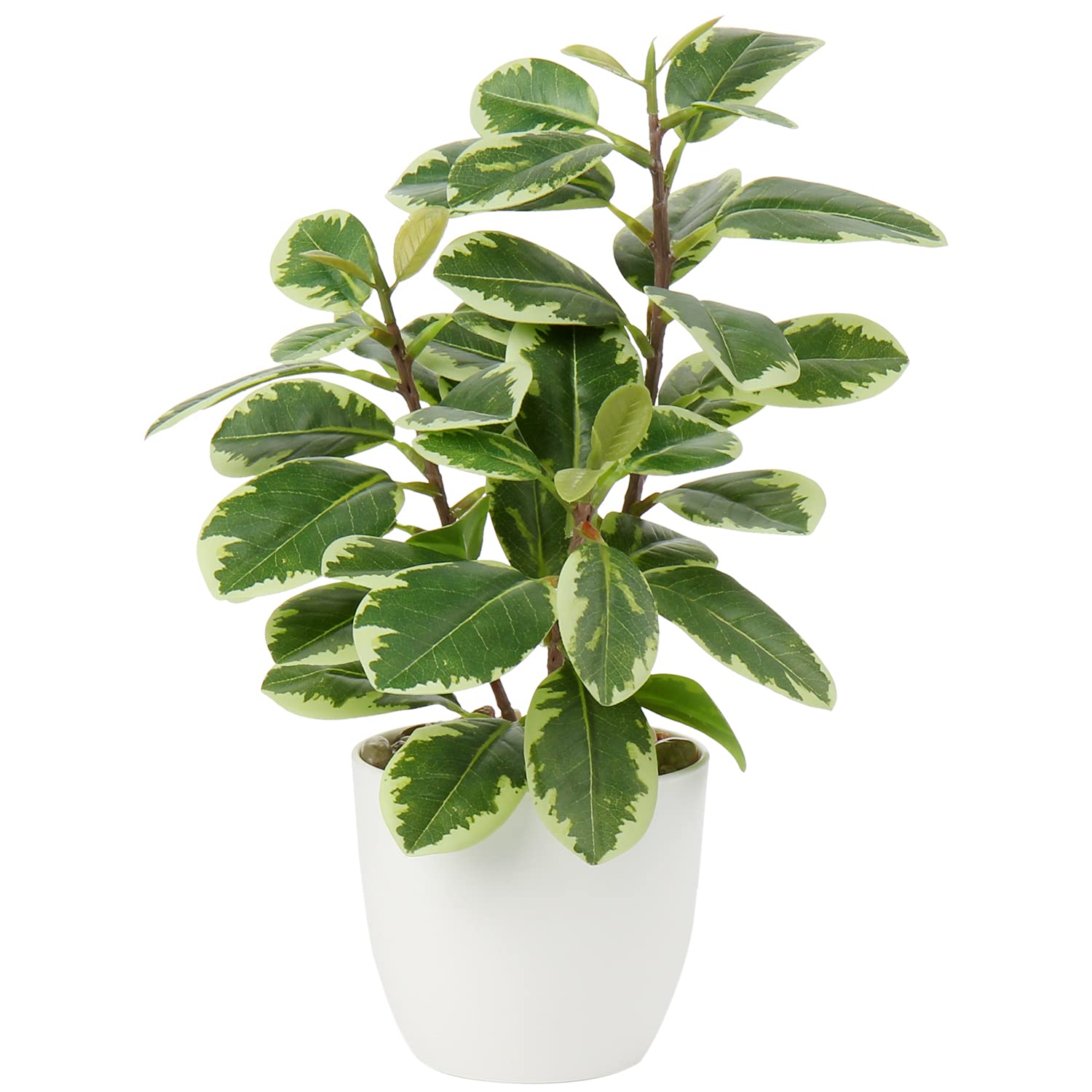 Briful Camellia Artificial Plant Fake Plant in Pot Faux Camellia Plants Artificial Potted Plants for Home Decor, 11"/28cm Faux Green Plants Artificial Bonsai for Living Room Shelf Desk Decor