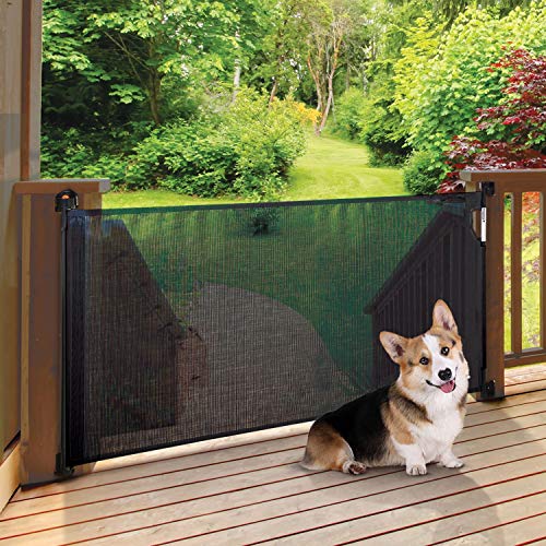 Dreambaby Child Safety Retractable Baby Gate Black Fits Opening up