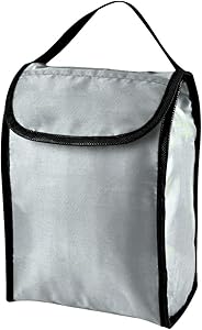 Lunch Bag, Insulated Lining, 2 Compartment Lunch Box Tote, for Picnics, School, Office, Shop, Pool, Gym, Travel, Fishing, Hiking - Gray.