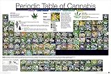 Periodic Table of Cannabis (Weed Marijuana Table) Novelty Drug Smoking Humor Poster Print (Unframed 24 x 36 Poster)