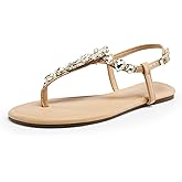 DREAM PAIRS Flat Sandals for Women Dressy Rhinestone T-Strap Thong Flat Sandals for Summers Dress Beach