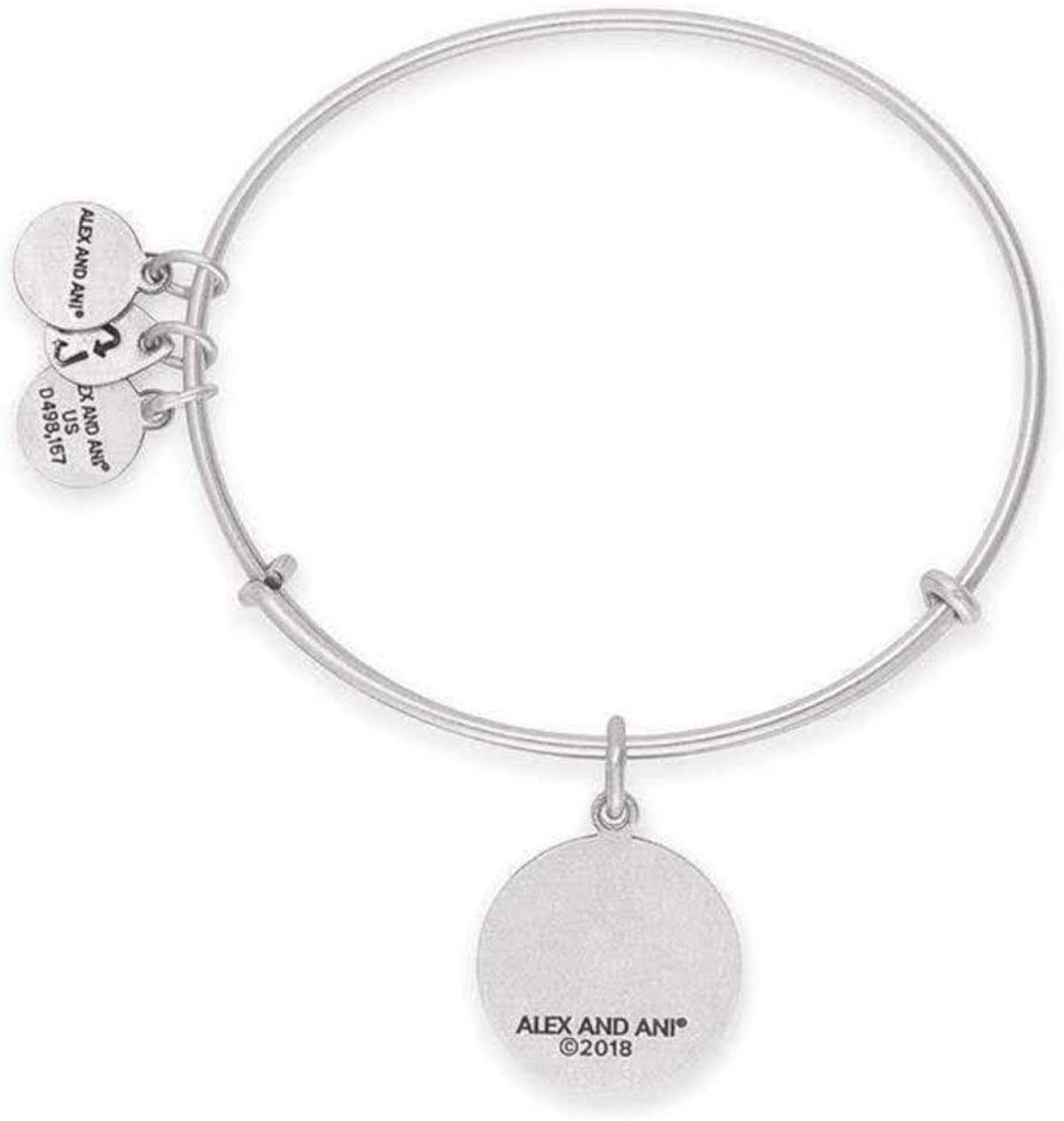 Alex and Ani Soul Sister Expandable Bangle Bracelet for Women, Friendship Inscription Charm, Rafaelian Silver Finish, 2 to 3.5 in: Jewelry
