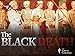The Black Death: The World's Most Devastating Plague