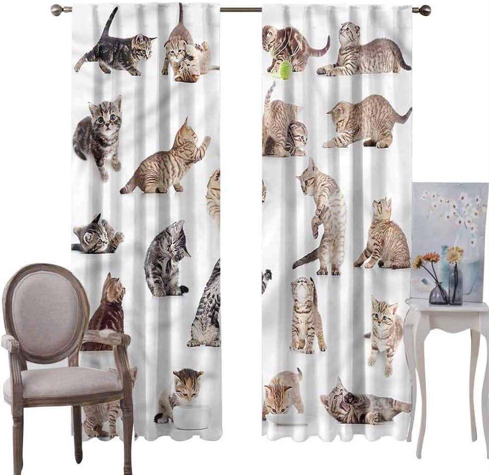 100 Blackout Curtains Cat, Home Decor Window Treatments Draperies Funny Playful Baby Kitten Pet