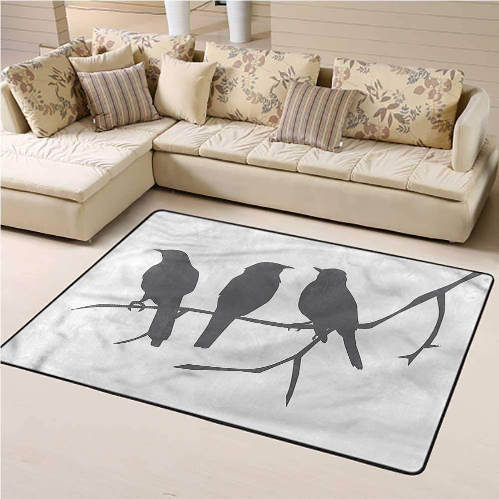 Area Rug Birds, Cormorants Flock on Branch Modern Area Rug for Indoor Living Dining Room 5 x 8 Feet