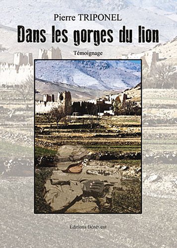 Dans les gorges du lion