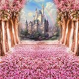 Fanghui Photography Backdrop Fairy Tale Castle Pink Children Princess Girls Photo Booth Backdground Studio Props Spring 6x6ft