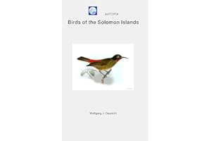 AVITOPIA - Birds of the Solomon Islands