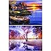 HaiMay 2 Pack DIY 5D Diamond Painting Kits for Adults Paint by Number Kits Full Drill Painting Diamond Pictures Arts Craft for Wall Decoration, Autumn Scenery(12X16 inch)