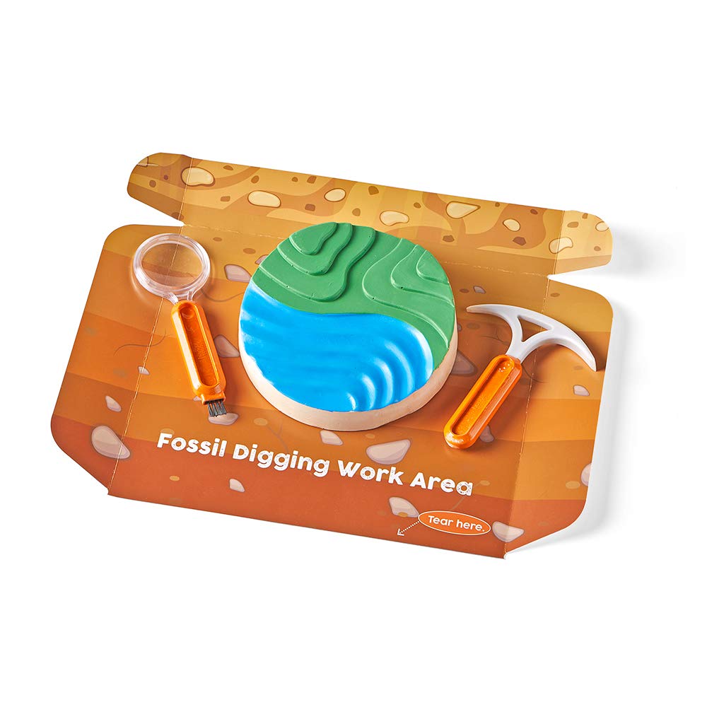 hand2mind Dig & Display Fossil Dig Kit, Fossil Display Case, 8 Real Fossils to Uncover, Dig Kits for Kids, Fossil Digging Kit for Kids, Excavation Kit for Kids, Fossil Science, Archeology Kits