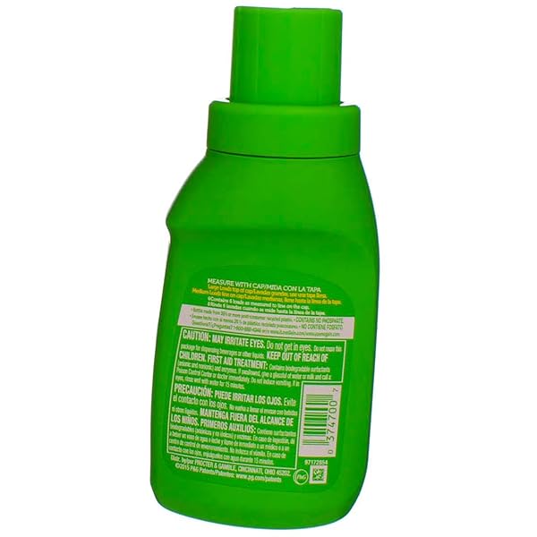 GAIN, ORIGINAL LAUNDRY DETERGENT, TWO 10 OZ. BOTTLES