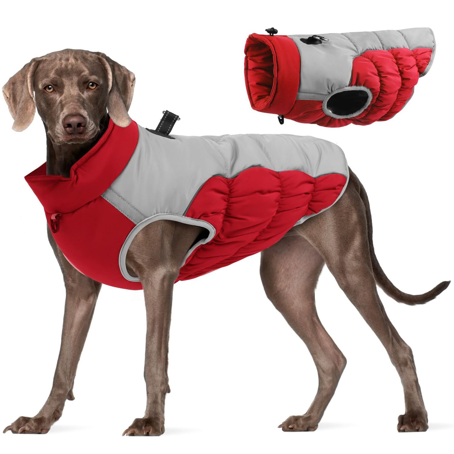 Norhogo Warm Winter Dog Jacket, Dog Winter Coat Waterproof, Warm Dog Coats Waterproof Upgrade Dog Clothes with carabiner for Small and Medium Dogs (2XL, Red)