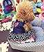 Kailian Dog Cowboy Dress Lovely Cute Dog Doggie Puppy Summer Clothes Dog Denim Skirt Medium
