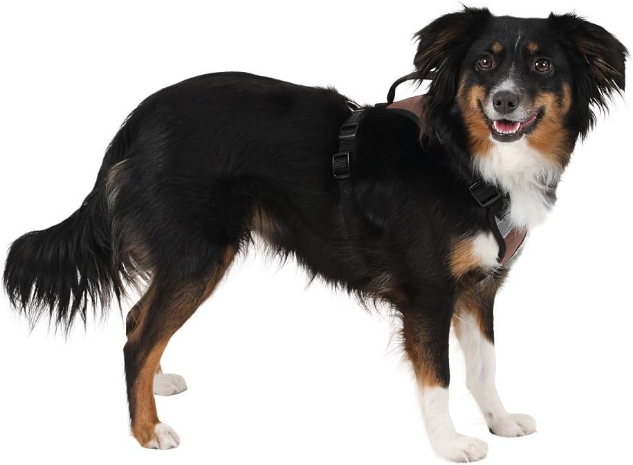 Kerbl Pulsive Dog Harness, 36/50 cm x 46/60 cm, Brown - Image 3